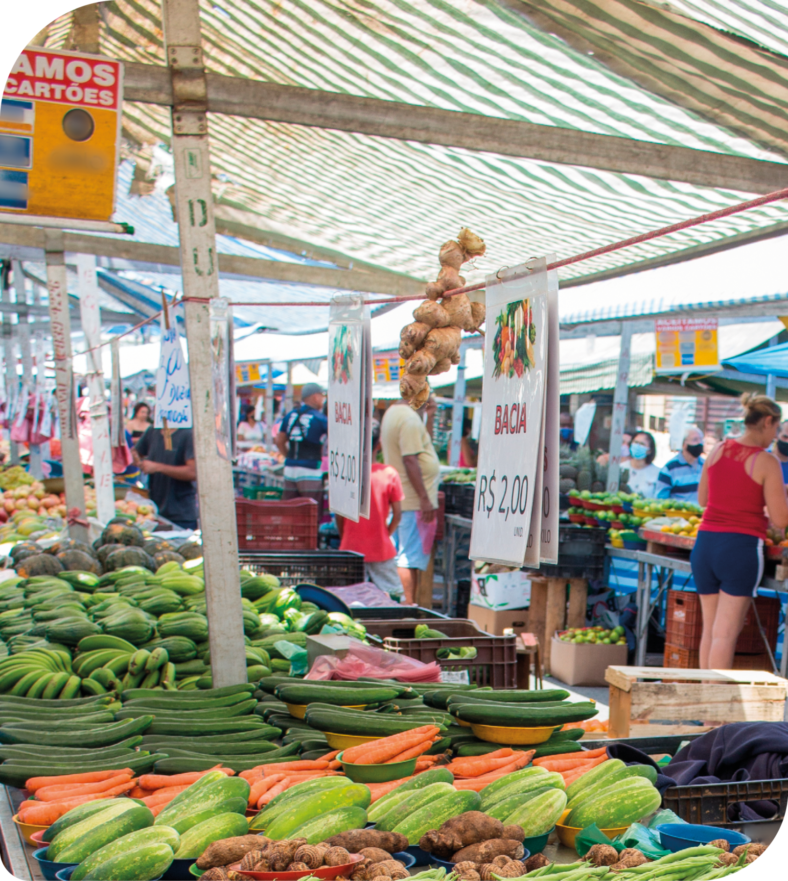 Fotografia. Uma feira com barracas expondo legumes e frutas. Há pessoas e caixas entre as barracas.