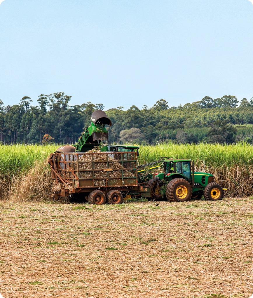 Fotografia B. Uma colheitadeira em uma plantação jogando o conteúdo colhido em um caminhão que está ao seu lado.