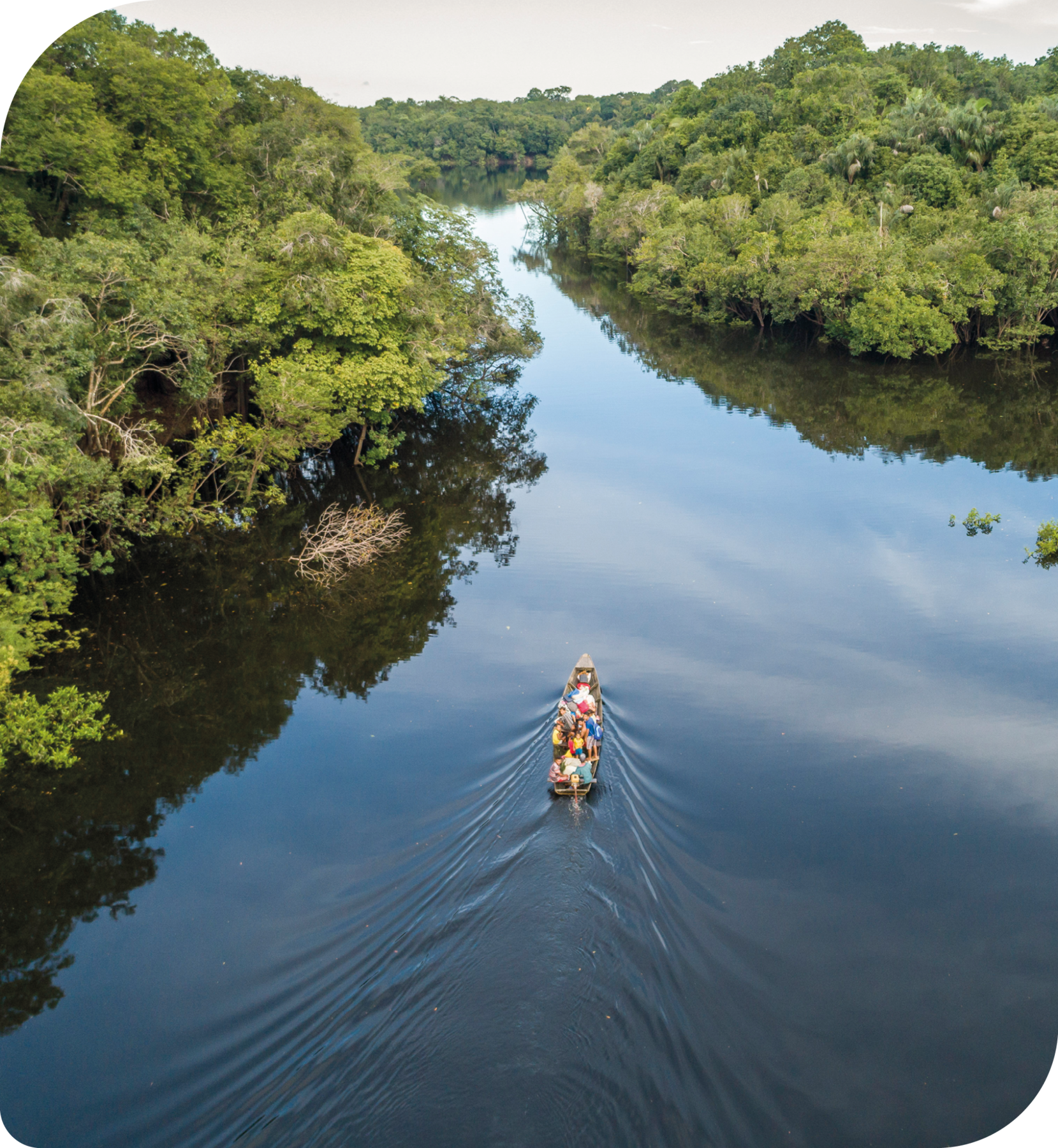 Fotografia. Vista aérea. Algumas pessoas em uma canoa, navegando em um rio cercado por uma floresta.