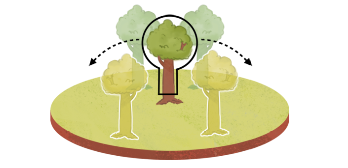 Ilustração 4. Ao centro uma árvore com um círculo ao redor e setas indicando posições ao lado. Ao redor sombras de outras quatro árvores.