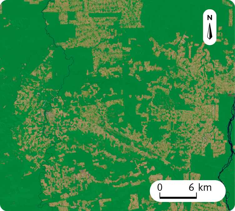 Fotografia. Vista aérea. Área coberta por vegetação com áreas desmatadas espalhadas por toda a região. No canto superior direito, seta apontando para o norte e na parte inferior, a escala: 6 quilômetros por centímetro.