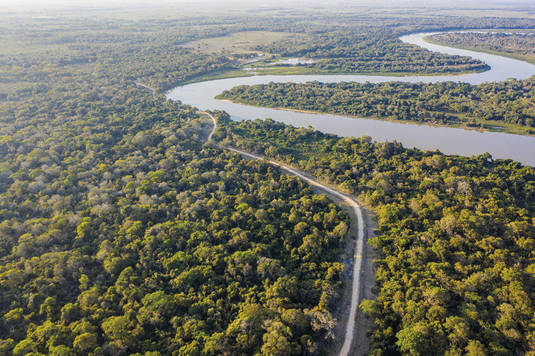 Fotografia. Vista aérea. Curso de um rio sinuoso e uma via entre uma floresta densa.