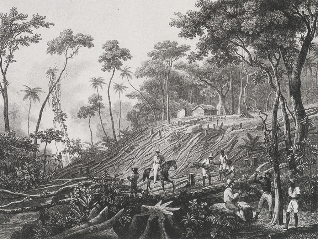 Litografia em preto e branco. Homens reunidos em meio a um floresta com diversas árvores cortadas em uma encosta de um terreno em aclive. Acima, há uma casa. Há um homem montado em um cavalo.