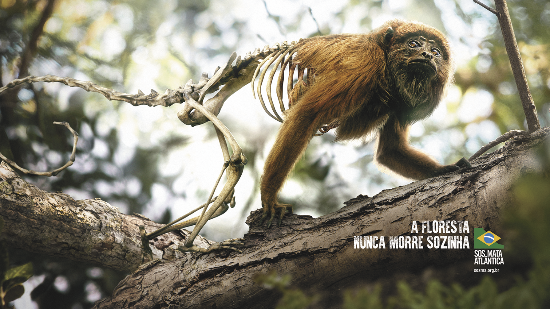 Cartaz. Um macaco de cor alaranjada caminhando entre troncos de uma árvore. Parte de seu corpo é composto apenas pelo seu esqueleto. Na parte inferior, a frase: A FLORESTA NUNCA MORRE SOZINHA; seguida pelo logotipo SOS MATA ATLÂNTICA.