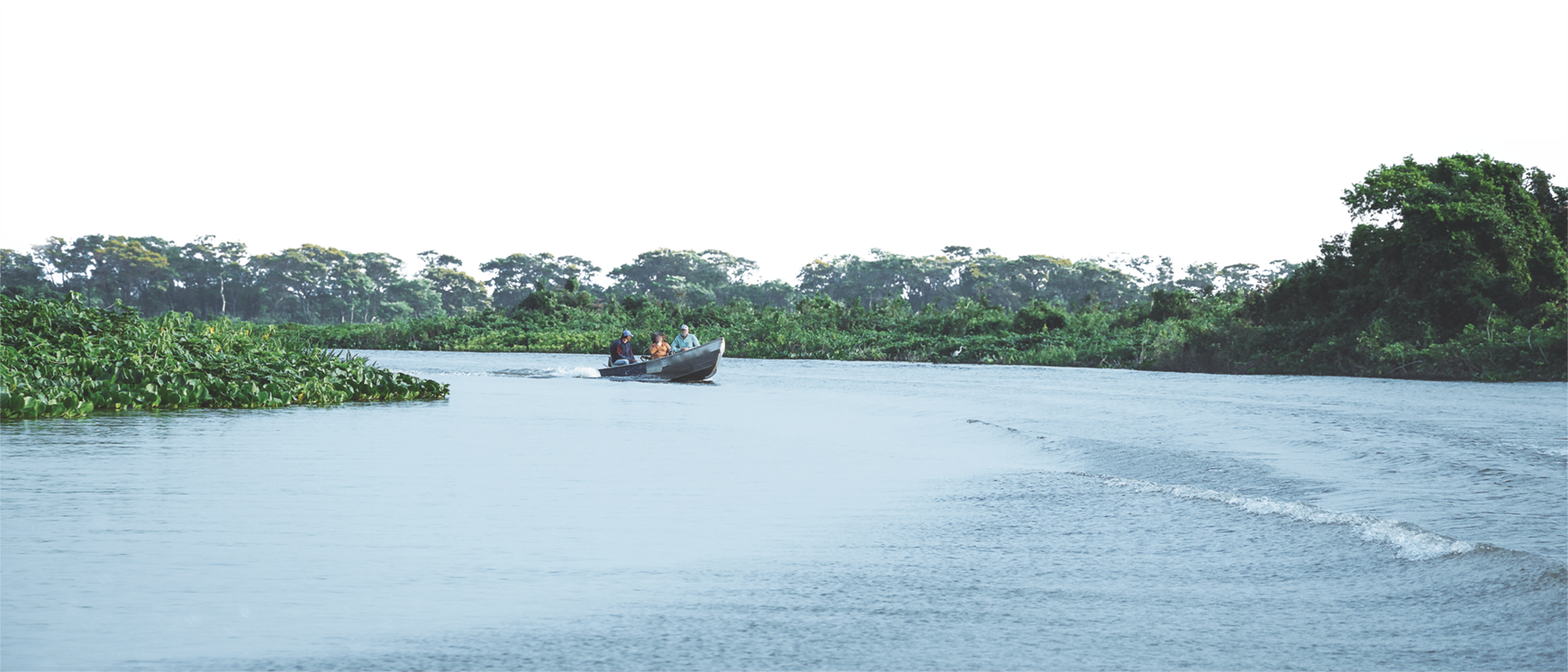 Fotografia. Um barco navegando em um rio largo. Há árvores e plantas nas margens.