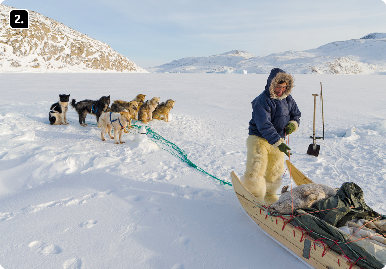 Fotografia 2. Um homem de casaco e calça felpudas em um trenó na neve. Há muitos cachorros presos ao trenó. Ao fundo, montanhas cobertas por neve.