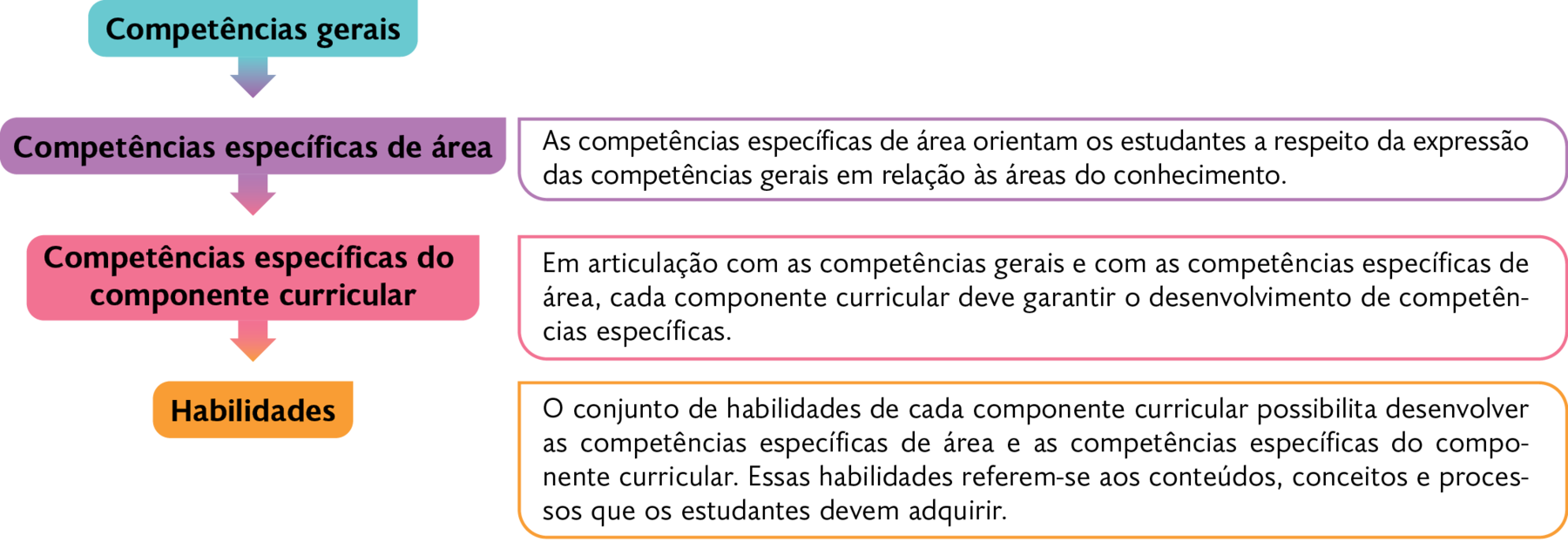 Esquema. Competência gerais: Competências específicas de área – As competências específicas de área orientam os estudantes a respeito da expressão das competências gerais em relação às áreas do conhecimento. Competências específicas do componente curricular – Em articulação com as competências gerais e com as competências específicas de área, cada componente curricular deve garantir o desenvolvimento de competências específicas. Habilidades – O conjunto de habilidades de cada componente curricular possibilita desenvolver as competências específicas de área e as competências específicas do componente curricular. Essas habilidades referem-se aos conteúdos, conceitos e processos que os estudantes devem adquirir.