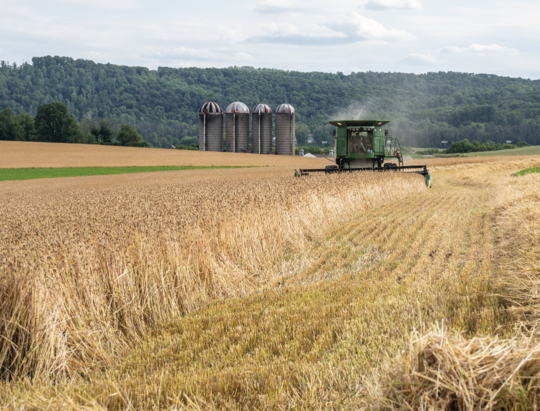 Fotografia. Uma colheitadeira passando por uma vasta plantação Ao fundo, silos e morro com árvores.