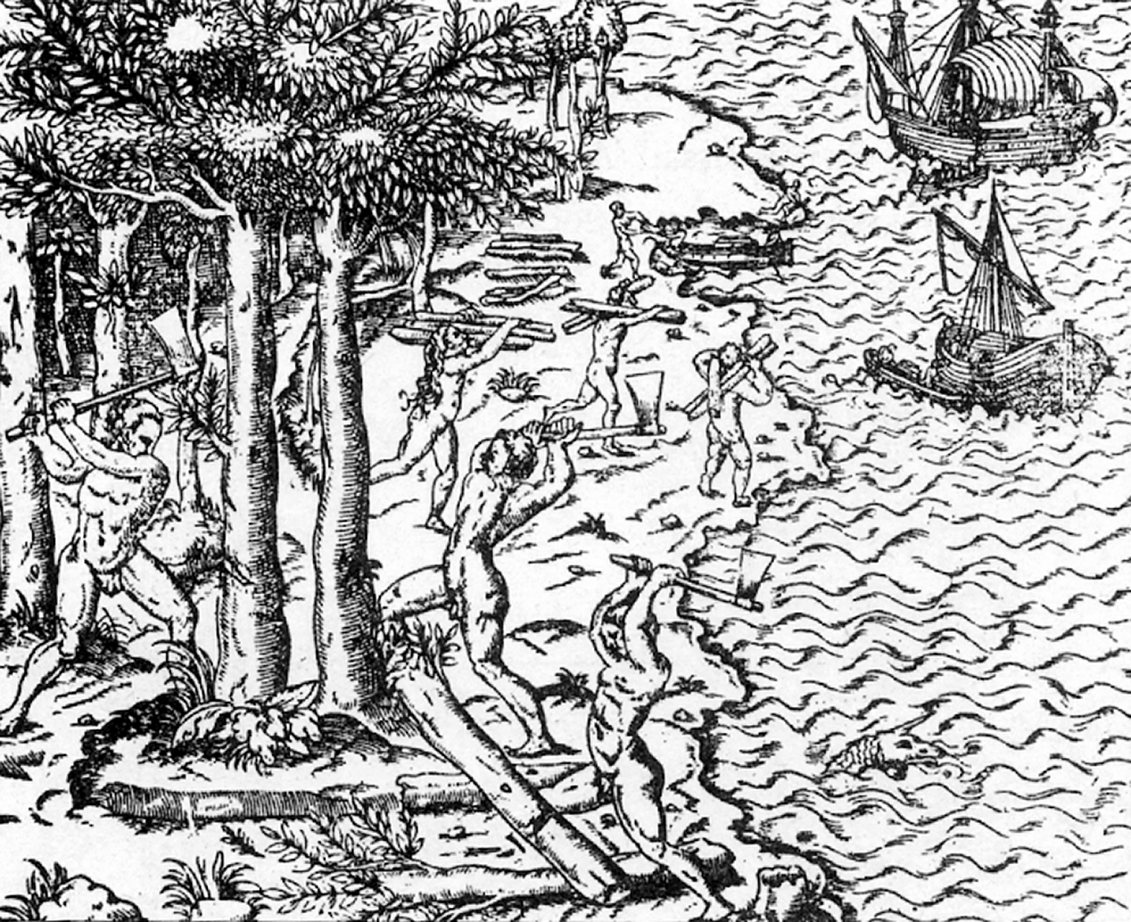 Xilogravura em preto e branco. Uma praia repleta de árvores com homens trabalhando. Eles cortam e carregam os troncos das árvores. No mar há embarcações a velas.