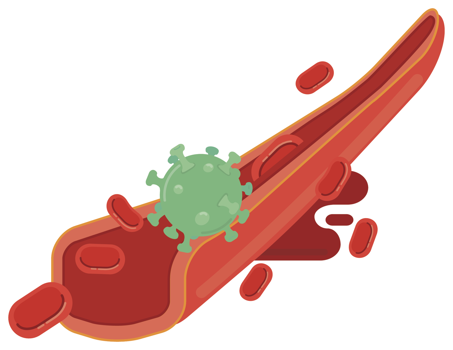 Ilustração. Um vaso sanguíneo com círculos vermelhos e um vírus verde, de formato circular com diversas hastes.