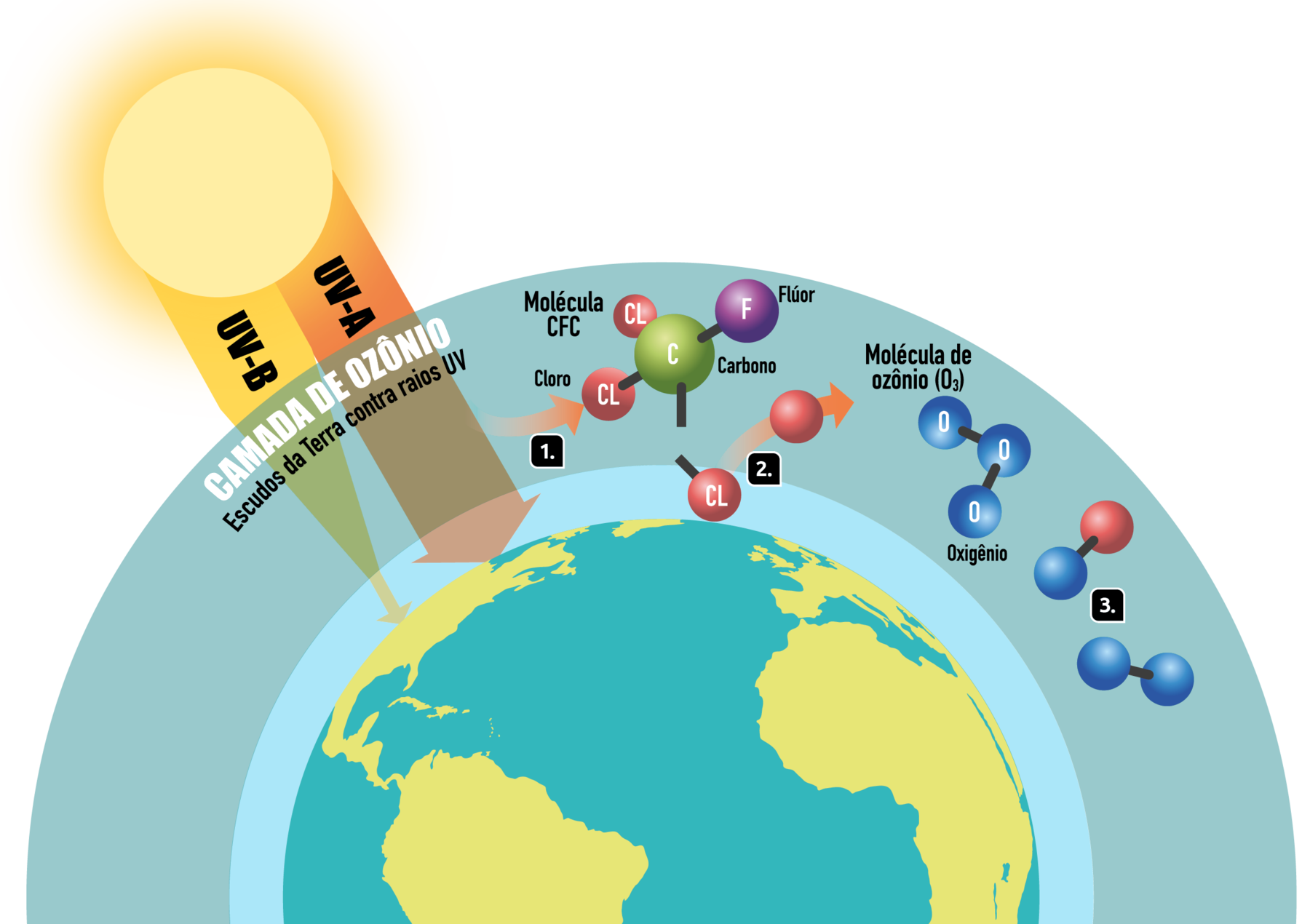 Esquema. À esquerda, o Sol emitindo raios U V - A e U V - B, em direção a Camada de ozônio (escudos da Terra contra raios U V). Grande parte dos raios U V - A atravessam essa camada e a camada seguinte atingindo a superfície da Terra, uma quantidade menor de U V - B atravessa a primeira camada, e outra ainda menor atravessa a segunda, atingindo a superfície terrestre. Sobre a camada de ozônio, com as indicações. Número 1. Molécula C F C, composta por cloro, carbono e flúor, com uma seta indicando movimentação. Número 2. Molécula de ozônio (O 3) com oxigênio. Número 3, com moléculas separadas.