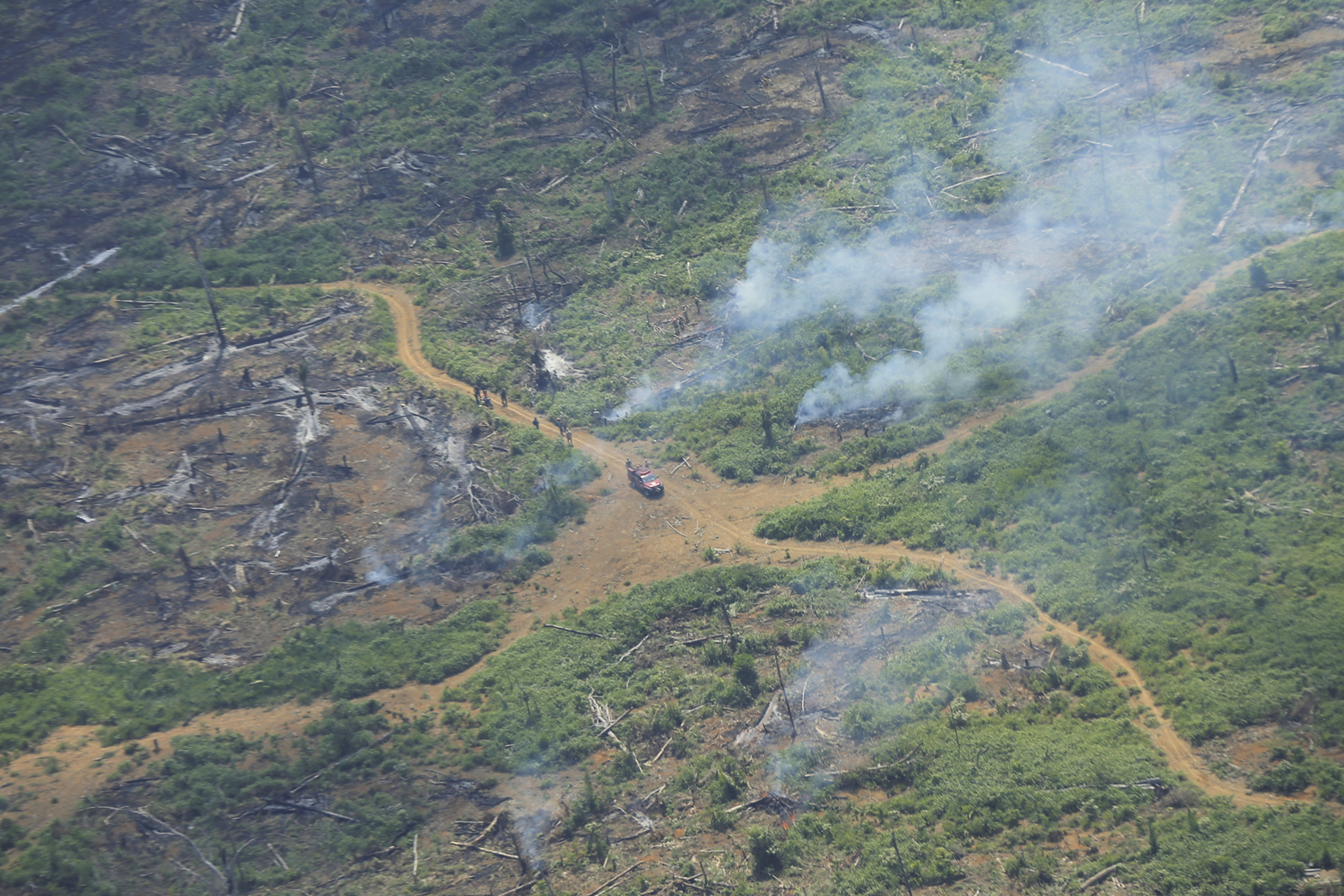 Fotografia. Vista de cima. Área coberta por vegetação com local desmatado e em chamas. Há estradas de terra, por onde passa um veículo.