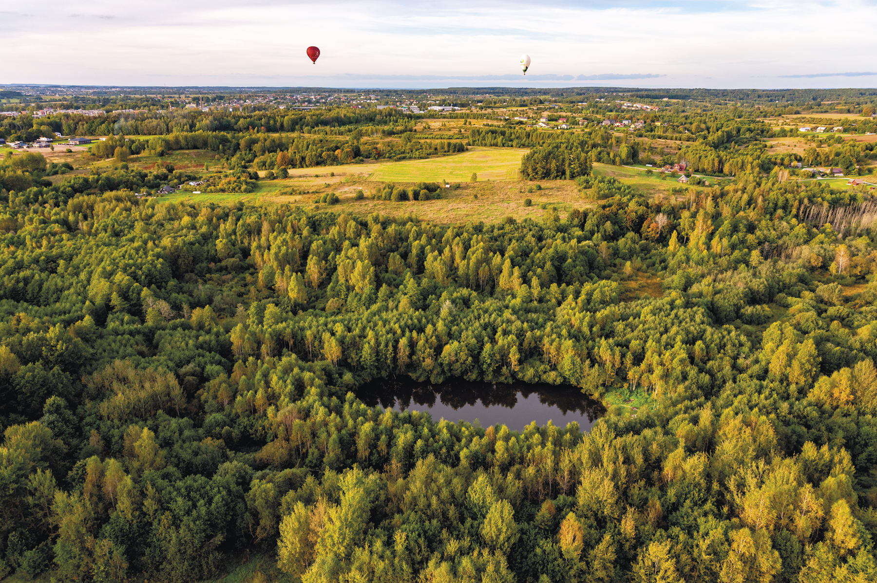 Fotografia. Vista do alto. Uma floresta repleta de árvores com um lago e áreas planas com vegetação rasteira.