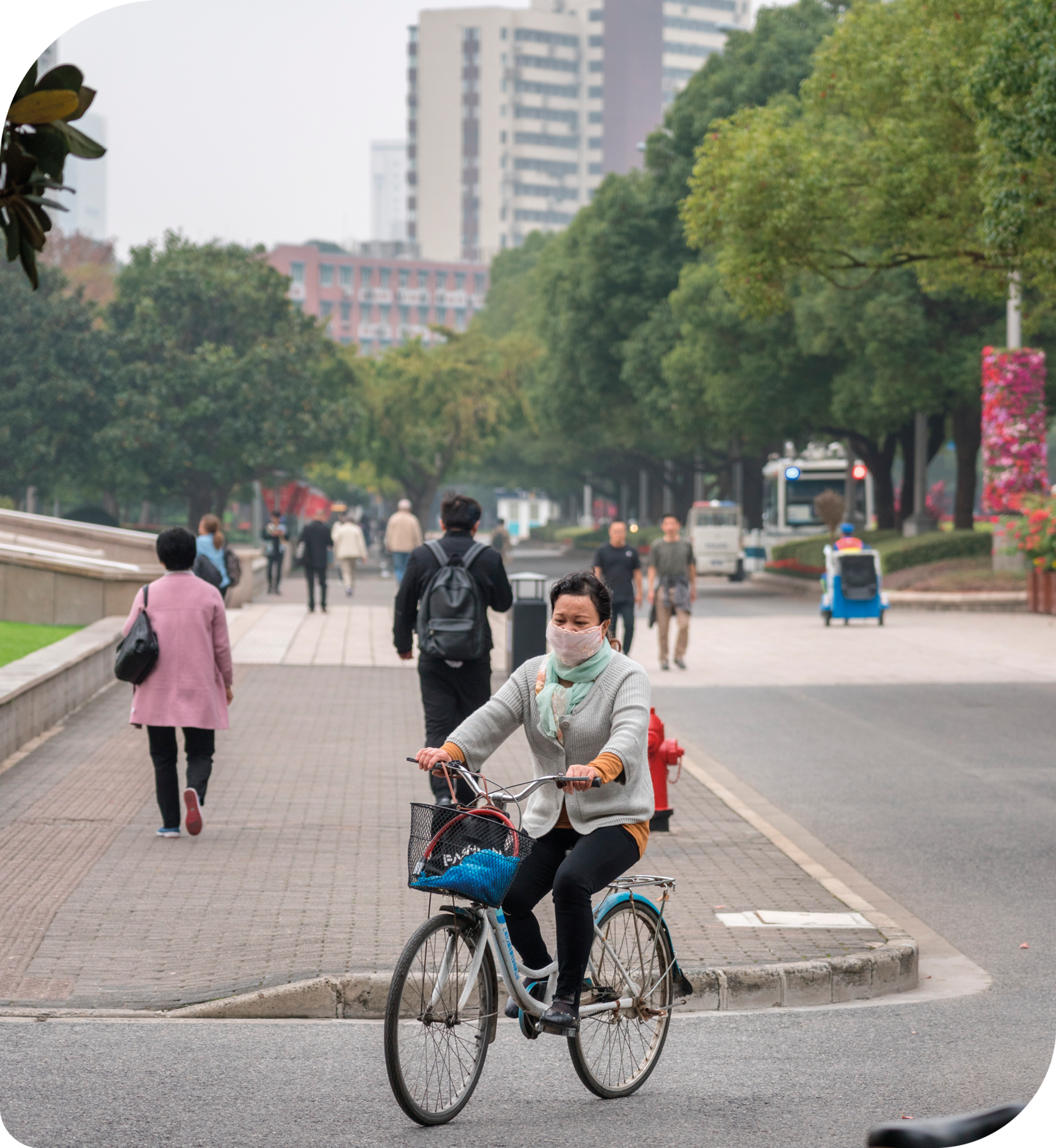 Fotografia. Uma mulher de máscara andando de bicicleta em uma rua movimentada com árvores.