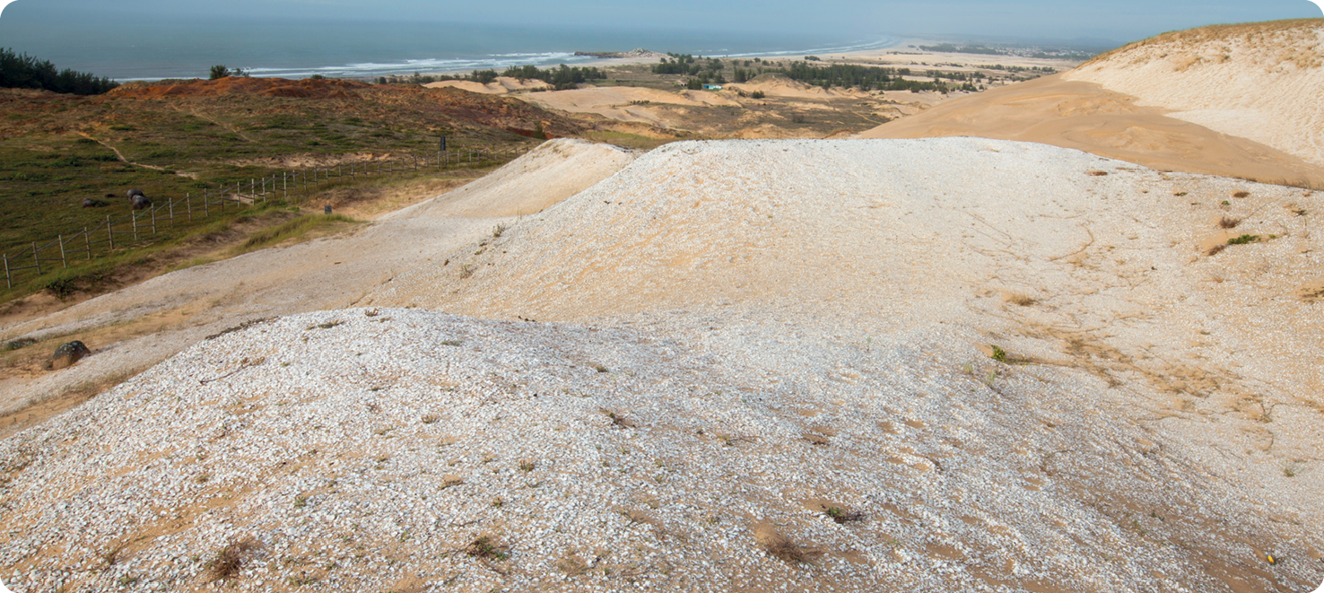 Fotografia. No primeiro plano, alguns amontoados de conchas que formam os sambaquis. Ao fundo, vegetação rasteira em meio à areia e o mar.