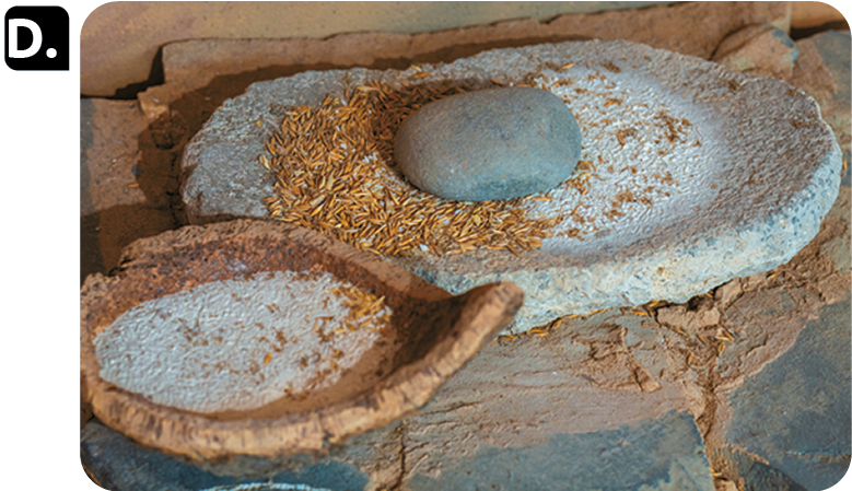 Fotografia D. Face chapada e uma pedra em formato oval ao centro, sobre eles, grãos de trigo.