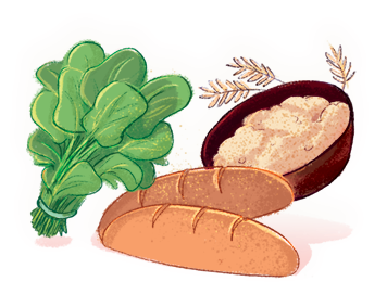 Ilustração. Vegetais, grãos e pães.