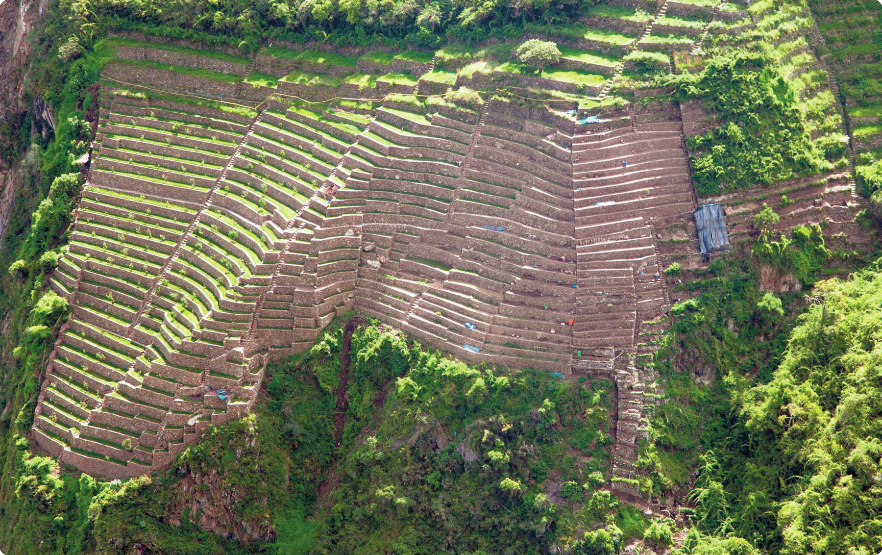 Fotografia. Vista aérea de um morro com recortes em linhas tracejadas na horizontal com plantações. Ao redor, vegetação.