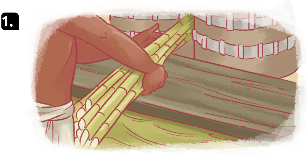 Ilustração 1. Destacando as mãos de uma pessoa negra, segurando vários caules de cana-de-açúcar em direção à duas engrenagens.