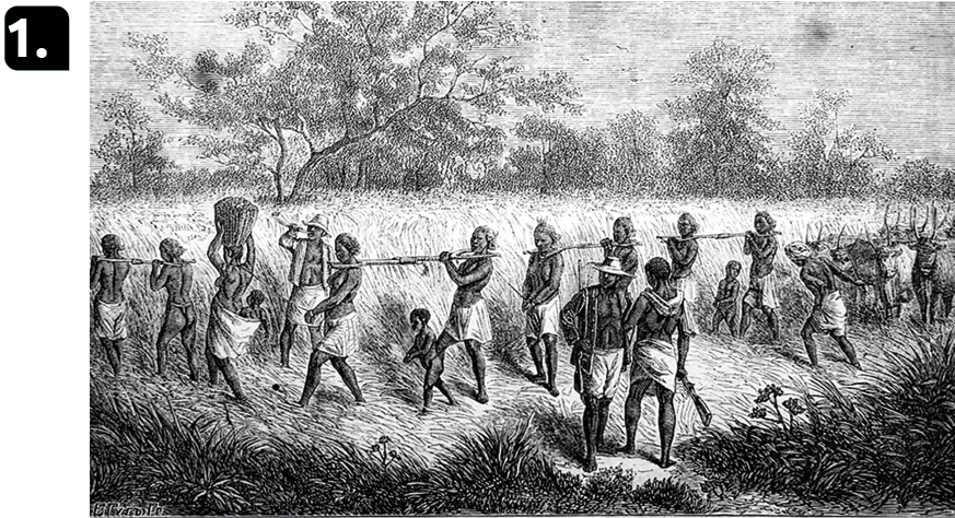 Gravura em preto e branco 1. Um grupo de pessoas negras amarradas pelo pescoço por um bastão longo, estão caminhando sobre vegetação. Em volta, pessoas com objetos na mão observando.