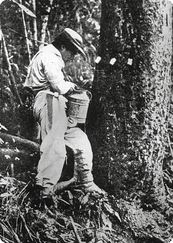 Fotografia em preto e branco. Um homem, usando camisa e calça, está segurando com a mão um pote ao lado de uma árvore.