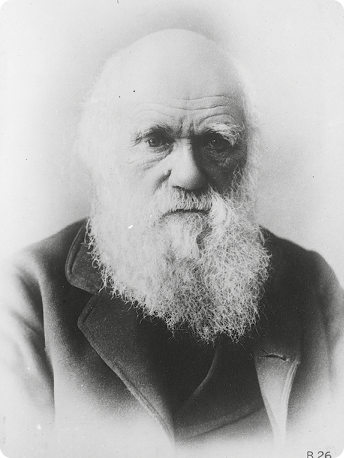 Fotografia em preto e branco. Homem calvo, com rugas e barba branca e longa, usando terno.