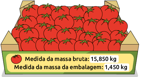 Ilustração de uma caixa de papelão com 30 tomates dentro. Está indicado: 'Medida da massa bruta: 15,850 quilogramas; Medida da massa da embalagem: 1,450 quilogramas'.