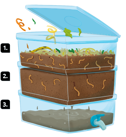 Ilustração de três caixas transparentes empilhadas e numeradas de 1 até 3, de cima para baixo. Caixa 1: há terra até metade da caixa, minhocas e restos de alimentos na superfície. Há uma tampa aberta. Caixa 2: a caixa está completamente cheia de terra e minhoca. Caixa 3: parte da caixa está com terra, até um pouco menos de sua metade, e há uma torneira na lateral da caixa. 