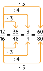 Esquema com 4 frações com igualdade entre elas. Início de fração, numerador: 12, denominador: 16, fim de fração, igual a, início de fração, numerador: 36, denominador: 48, fim de fração, igual a, início de fração, numerador: 3, denominador: 4, fim de fração, igual a início de fração, numerador: 60, denominador: 80, fim de fração. Na primeira fração saem 6 setas que vão, duas para cada fração. Para a segunda fração: uma seta no numerador indicando vezes 3, indo do 12 para o 36 e outra seta, no denominador, indicando vezes 3, indo do 16 para o 48. Para a terceira fração: uma seta no numerador indicando dividido por 4, indo do 12 para o 3 e outra seta, no denominador, indicando dividido por 4, indo do 16 para o 4. Para a terceira fração: uma seta no numerador indicando vezes 5, indo do 12 para o 60 e outra seta, no denominador, indicando vezes 5, indo do 16 para o 80.