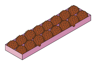 Ilustração de 16 bombons, embalados em uma caixa.
