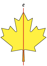 Ilustração. Figura representando uma folha de árvore, dividida por um eixo indicado por: e, na vertical, em duas figuras simétricas.