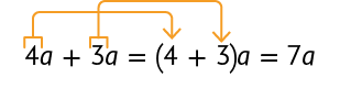 Esquema. Expressão algébrica. 4 vezes a mais 3 vezes a, é igual, abre parênteses, 4 mais 3, fecha parênteses, vezes a, igual a 7 vezes a. Do número 4 do início da expressão, sai uma seta apontando para o número 4 que está mais a frente, dentro do parênteses, e outra seta sai do número 3 do início da expressão e aponta para o número 3 que está mais à frente também dentro do parênteses.