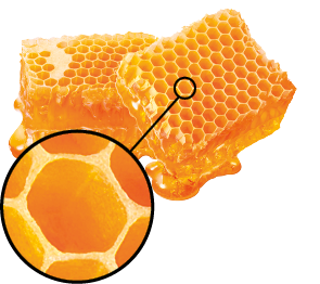 Fotografia de dois favos de mel com destaque para um alvéolo visto de cima. Ele se assemelha a um polígono regular de 6 lados.