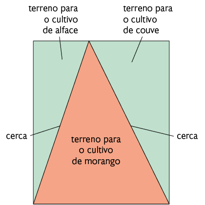 Ilustração da vista de um terreno representada por um retângulo dividido em 3 triângulos. No retângulo o lado menor é a base e o lado maior é a altura. No triângulo do meio, de cor alaranjada, à base e a altura são as mesmas do retângulo e há indicação: terreno para o cultivo de morango. Os triângulos laterais, de cor verde, são retângulos e a base dos 2 formam o lado oposto a base do triângulo do meio. No triângulo da esquerda, há a indicação de terreno para cultivo de alface, este triângulo é um pouco menor que o da direita. No triângulo da direita há a indicação de terreno para o cultivo de couve.  E na hipotenusa dos triângulos laterais há indicação: cerca.