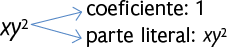 Esquema com a expressão x y ao quadrado. Desta expressão saem duas setas, uma indicando: coeficiente um e outra indicando parte literal: xy ao quadrado. 