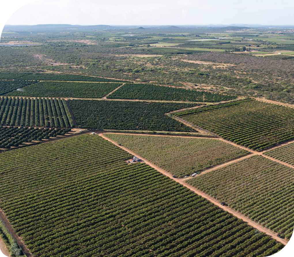 Fotografia da vista aérea de terras agrícolas distribuídas por áreas para diferentes plantios e em diferentes formatos.