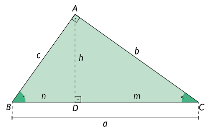 Ilustração de um triângulo retângulo A B C. O ângulo reto está no vértice A. O lado B C é hipotenusa e está indicado como a minúsculo. O lado A B é um dos catetos e está indicado como c minúsculo. E o lado A C é o outro cateto indicado como b minúsculo. Há um segmento A D, traçado formando um ângulo de 90 graus com a hipotenusa B C. Esse segmento está indicado como h minúsculo. Está indicado que a medida de comprimento de B até D é n minúsculo. E a medida de comprimento de D até C é m minúsculo. Os ângulos internos referentes ao vértice B e C estão demarcados, e sobre o ângulo B há um pequeno traço, e sobre o ângulo C, dois pequenos traços.