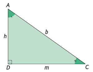 Ilustração de um triângulo retângulo A D C. Ele é formado da divisão do triângulo A B C a partir do segmento A D. Nele, o ângulo reto está no vértice D. Sobre o ângulo C há dois pequenos traços. Está indicado que o lado A C tem medida de comprimento b minúsculo; o lado A D tem medida de comprimento h minúsculo; e o lado D C tem medida de comprimento m minúsculo.