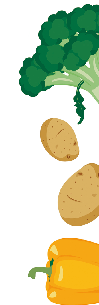 Ilustração. Um legume de caule e folhas em verde-escuro. Mais abaixo, duas batatas de cor bege-claro. Na parte inferior, um pimentão visto parcialmente de cor amarela.