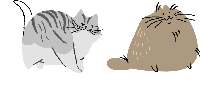 Ilustração. Dois gatos um ao lado do outro. O da esquerda, de tamanho pequeno, pelos de cor cinza-claro com partes em cinza-escuro e rabo para cima. A cara dele está para a direita, de frente para o outro gato, grande e gordo. Ele tem pelos de cor marrom, orelhas pequenas e está sentado.