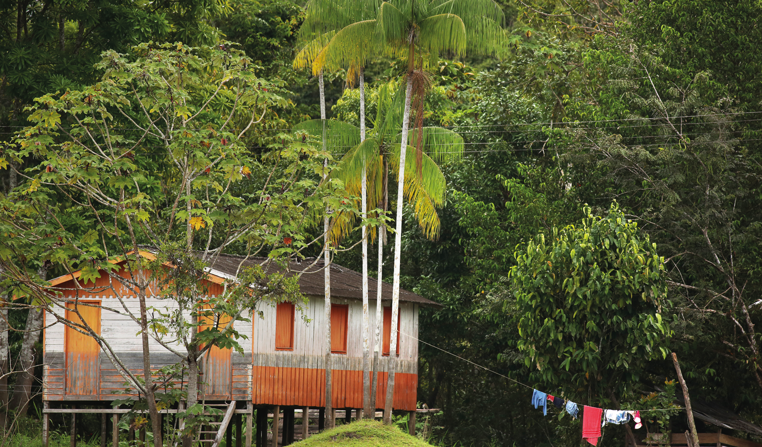 Fotografia. À esquerda, uma casa na horizontal em tons de bege e partes em laranja e telhado em triângulo em marrom. Ela está sobre estruturas finas na vertical e ao redor, várias árvores de folhas verdes. Na ponta da direita, um varal com roupas estendidas.