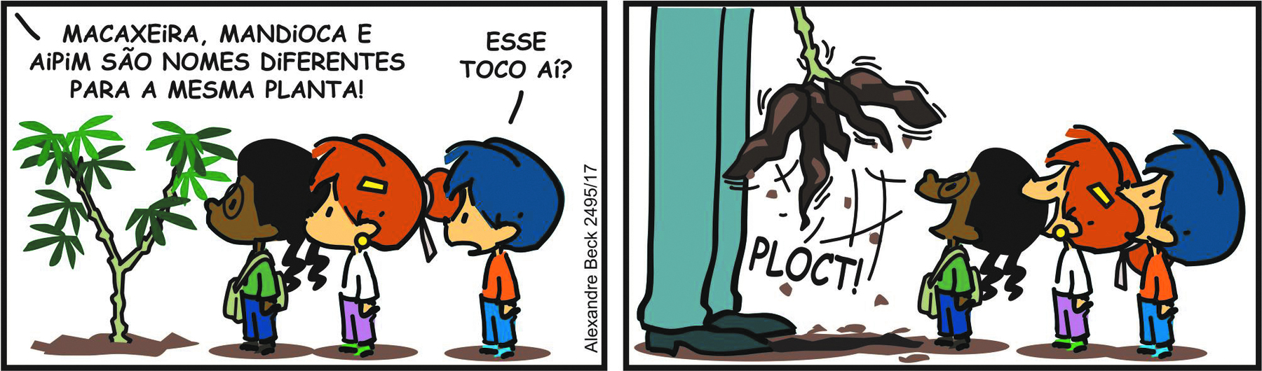 Tirinha. Composta por dois quadrinhos. Apresenta como personagens: Armandinho, menino de cabelos e calça em azul e vestido de blusa de mangas compridas em laranja. Uma menina de cabelos escuros emI chuquinha, de blusa de mangas compridas em verde, calça azul e bolsa de lado em cinza. Outra menina, de cabelos ruivos em coque com franja, camiseta branca e calça em lilás. Pai de Armandinho, visto da cintura para baixo, vestido de calça em azul-claro e sapatos em cinza. As cenas se passam em um local aberto. Q1 – À esquerda, árvore pequena de cor bege com folhas pequenas em verde e as três crianças à direita, uma ao lado da outra. Pai de Armandinho fala: MACAXERA, MANDIOCA E AIPIM SÃO NOMES DIFERENTES PARA A MESMA PLANTA! Armandinho com o corpo para a esquerda, pergunta olhando para a planta à frente deles: ESSE TOCO AÍ?Q2 – Pai de Armandinho à esquerda, puxando com as mãos a planta de caule bege e raízes abaixo em marrom, faz barulho: PLOCT! As três crianças olhando para o pai do Armandinho, com a cabeça para cima e boca aberta.