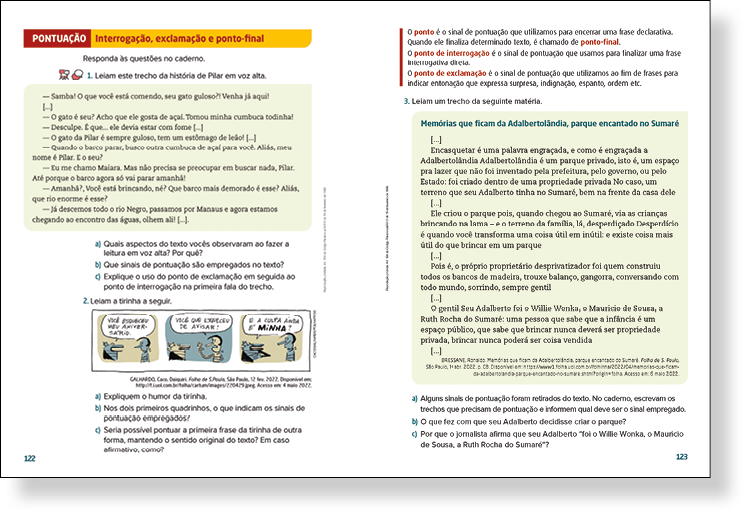 Reprodução de página de livro. Destaque para a seção 'Ortografia, acentuação/pontuação'.