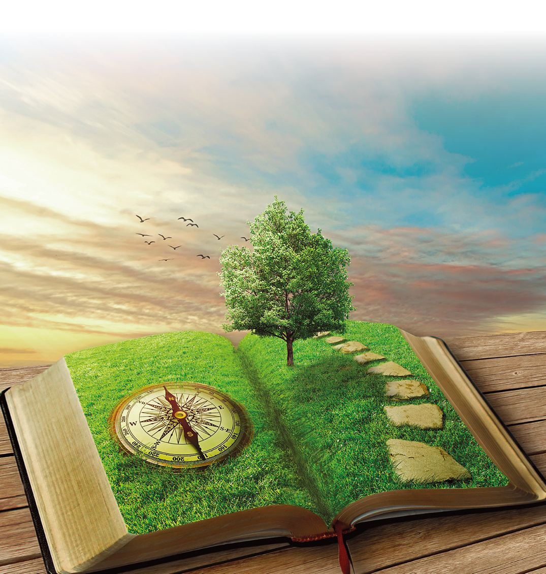 Composição de fotografias. Um livro aberto de cor bege-claro, com ilustração de grama verde. À esquerda, uma bússola redonda em marrom. À direita, caminho na vertical e uma árvore de folhas em verde. Na parte superior, céu em azul-claro, com nuvens espalhadas.