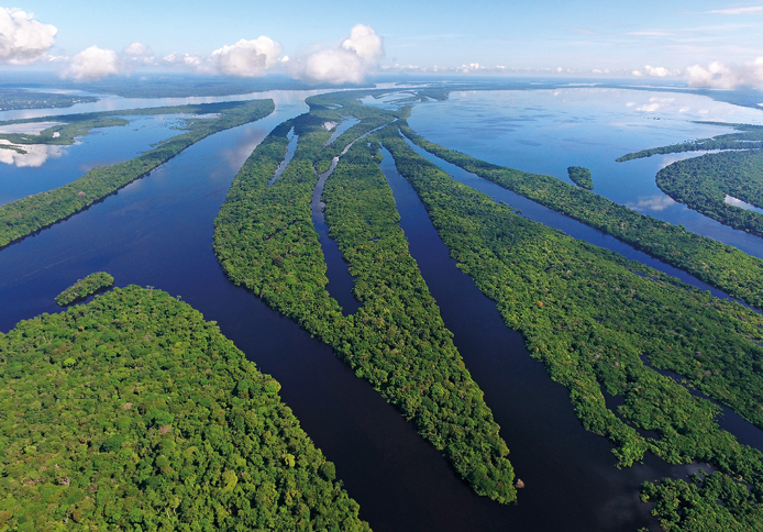 Fotografia. Vista geral de local com rio extenso de água escura entre vegetação verde. Na parte superior, céu em azul-claro e nuvens brancas.