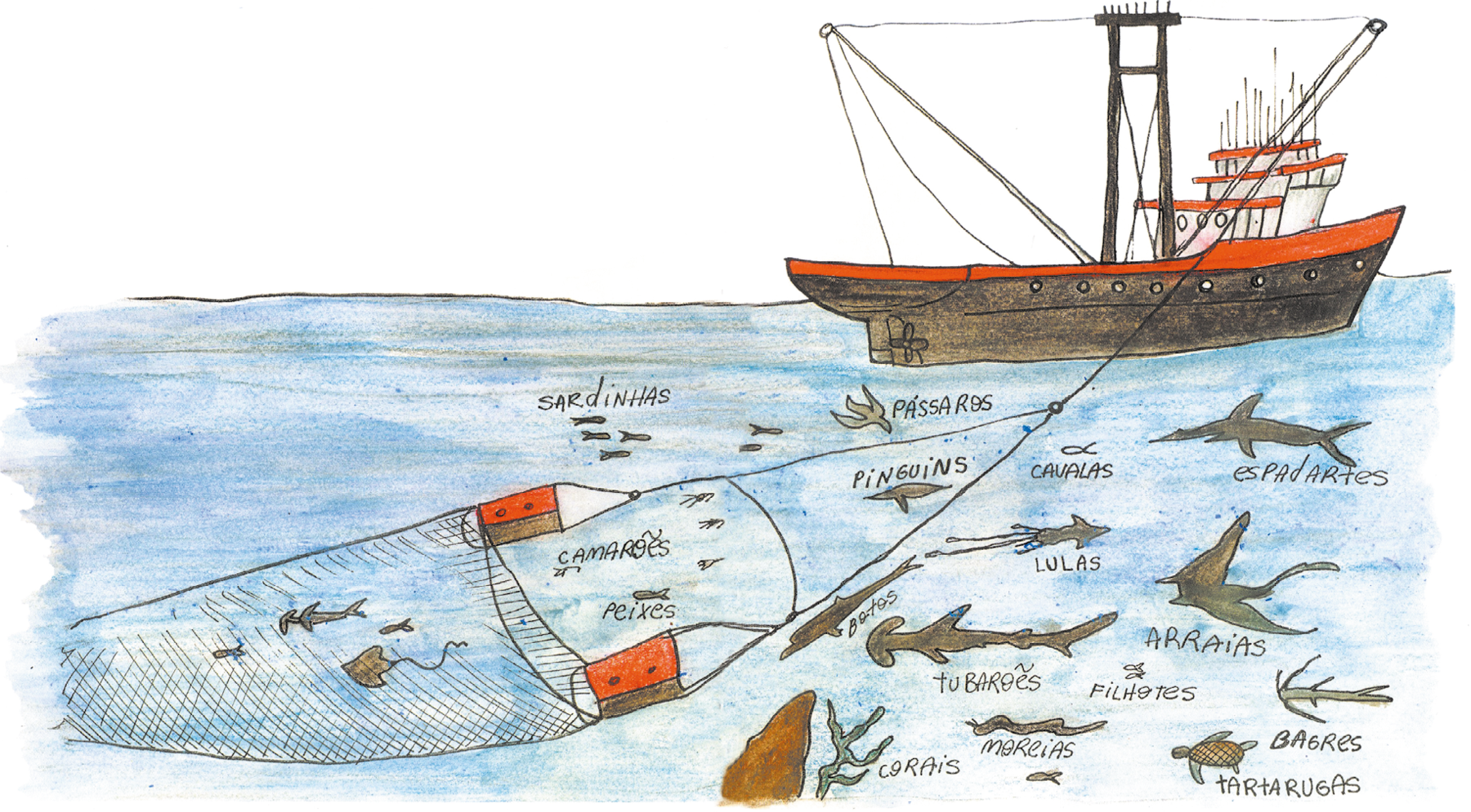 Ilustração. Local com oceano em água em azul-claro. À direita, um barco com a parte inferior em marrom e na parte superior em laranja, mastros e linhas finas. Na parte inferior, dentro do oceano, uma rede onde há tubarões e peixes. Na borda da rede, outros peixes e camarões em tons de cinza. À direita, fora da rede, corais e outros tubarões e peixes de nomes e tamanhos diferentes.