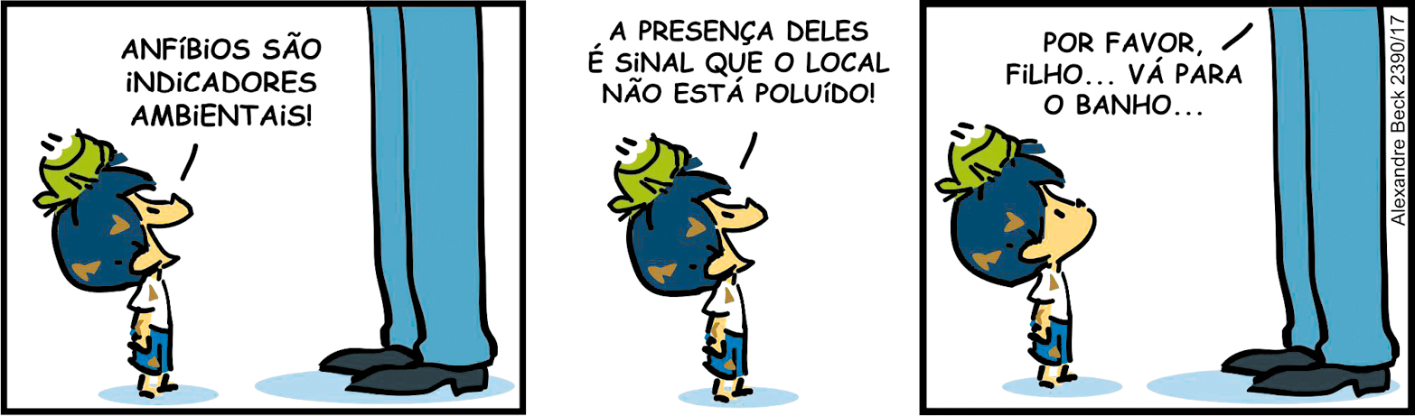 Tirinha. Composta por três quadros. Apresenta como personagem: Armandinho, menino de cabelos e bermuda em azul, de camiseta em branco. Pai de Armandinho, homem de calça em azul-claro, com sapatos em azul-escuro. Um sapinho de cor verde de olhos pretos e com sorriso. Q1 – à esquerda, Armandinho sujo de terra marrom com o corpo para a direita, olhando para cima e sobre a cabeça dele, sapinho. Ele fala: ANFÍBIOS SÃO INDICADORES AMBIENTAIS. À direita, o pai dele. Q2 – Foco em Armandinho na mesma posição, diz: A PRESENÇA DELES É SINAL QUE O LOCAL NÃO ESTÁ POLUÍDO! Q3 – à esquerda, Armandinho ainda com o sapinho sobre a cabeça, olhando para o pai com a boca fechada. O pai à direita, fala: POR FAVOR, FILHO... VÁ PARA O BANHO...