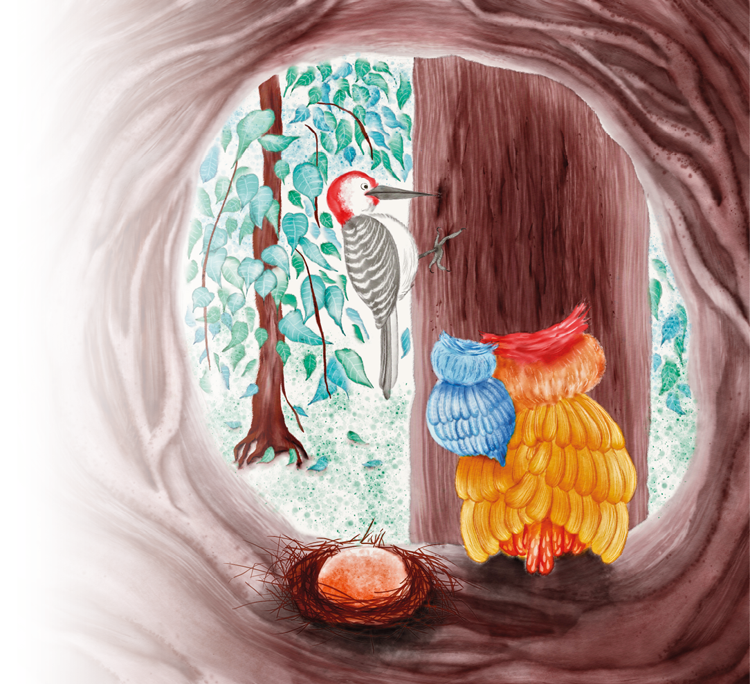 Ilustração. Uma estrutura com o formato redondo em marrom e dentro, vê-se um ninho em marrom e perto, à direita, dois pássaros vistos de costas, um de tamanho grande de penas em laranja-claro e partes em vermelho na cabeça e no rabo. Em seu ombro esquerdo, um pássaro de penas em azul. Ao fundo, um tronco de árvore em marrom e de frente para ele, um pássaro pica-pau de penas em vermelho no dorso da cabeça, cara em branco, bico fino preto e corpo com penas em branco e preto, fazendo um furo no tronco. Em segundo plano, galhos marrons e árvores em verde.