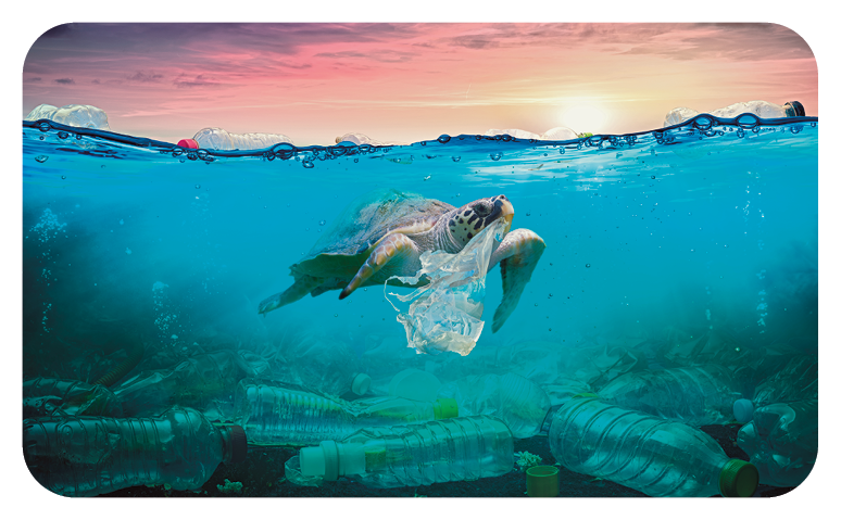Fotografia. Uma tartaruga nadando de cor verde e partes em bege-claro, com uma sacola de plástico transparente presa ao corpo, próximo da boca. Ela está no mar com água em azul-claro e com vegetação na parte inferior, rasteira. Na parte superior, céu em tons de rosa e amarelo.