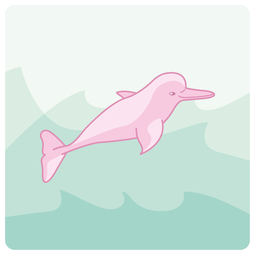 Ilustração. Dentro da água de cor azul-claro, um boto cor-de-rosa, com o corpo para a direita.